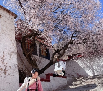 Early April is the peak season for peach blossoms🌺