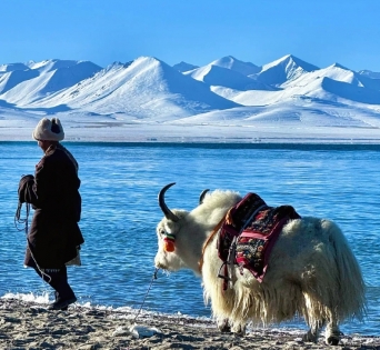 7-Day Lhasa to Kathmandu Overland：Venture through the Himalayas, exploring its wonders from every angle and diving into a one-of-a-kind journey!