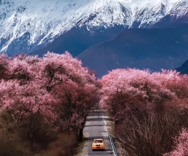 Entry Guidelines for Malaysian Tourists to Tibet