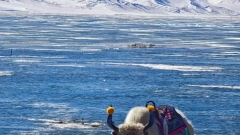 These 7 places in Tibet are a must-visit, absolutely breathtaking!