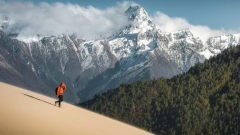 Buddha's Palm Sand Dunes
