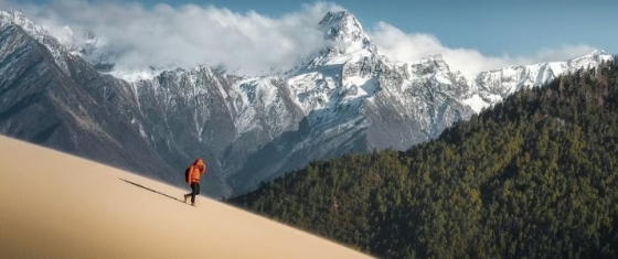 Buddha's Palm Sand Dunes