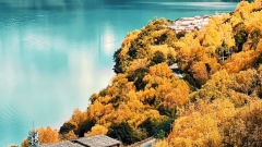 Tibet Grand Circle Tour: 13-Day Fly & Train Package