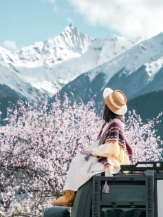 2025 Tibet Tour || Peach Blossom Viewing in Nyingchi Now Open for Booking！！