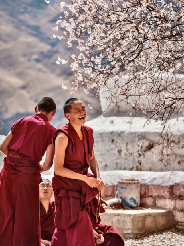 2025 Tibet Tour || Peach Blossom Viewing in Nyingchi Now Open for Booking!!