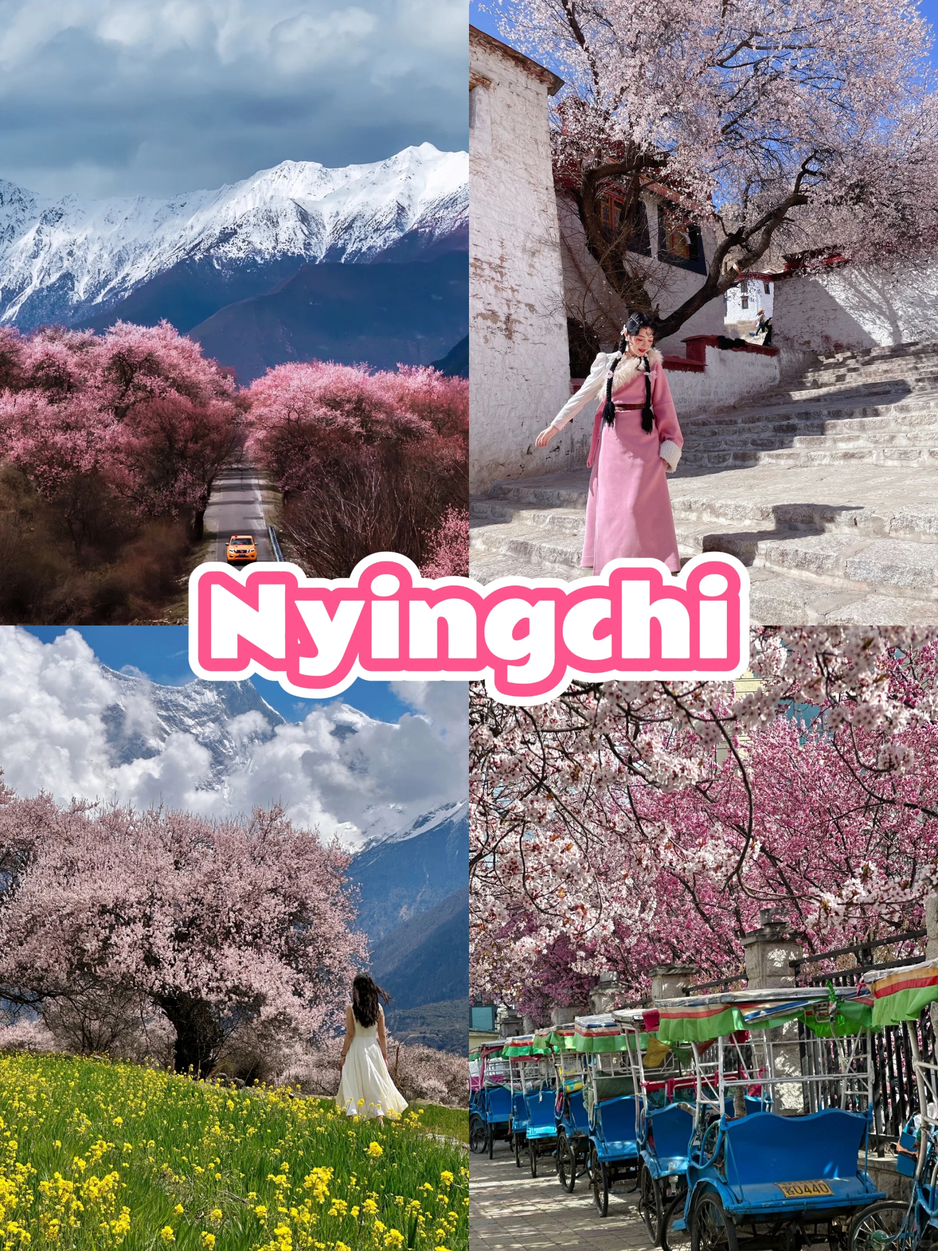 2025 Tibet Tour || 11-Day Peach Blossom Festival In-Depth Tour