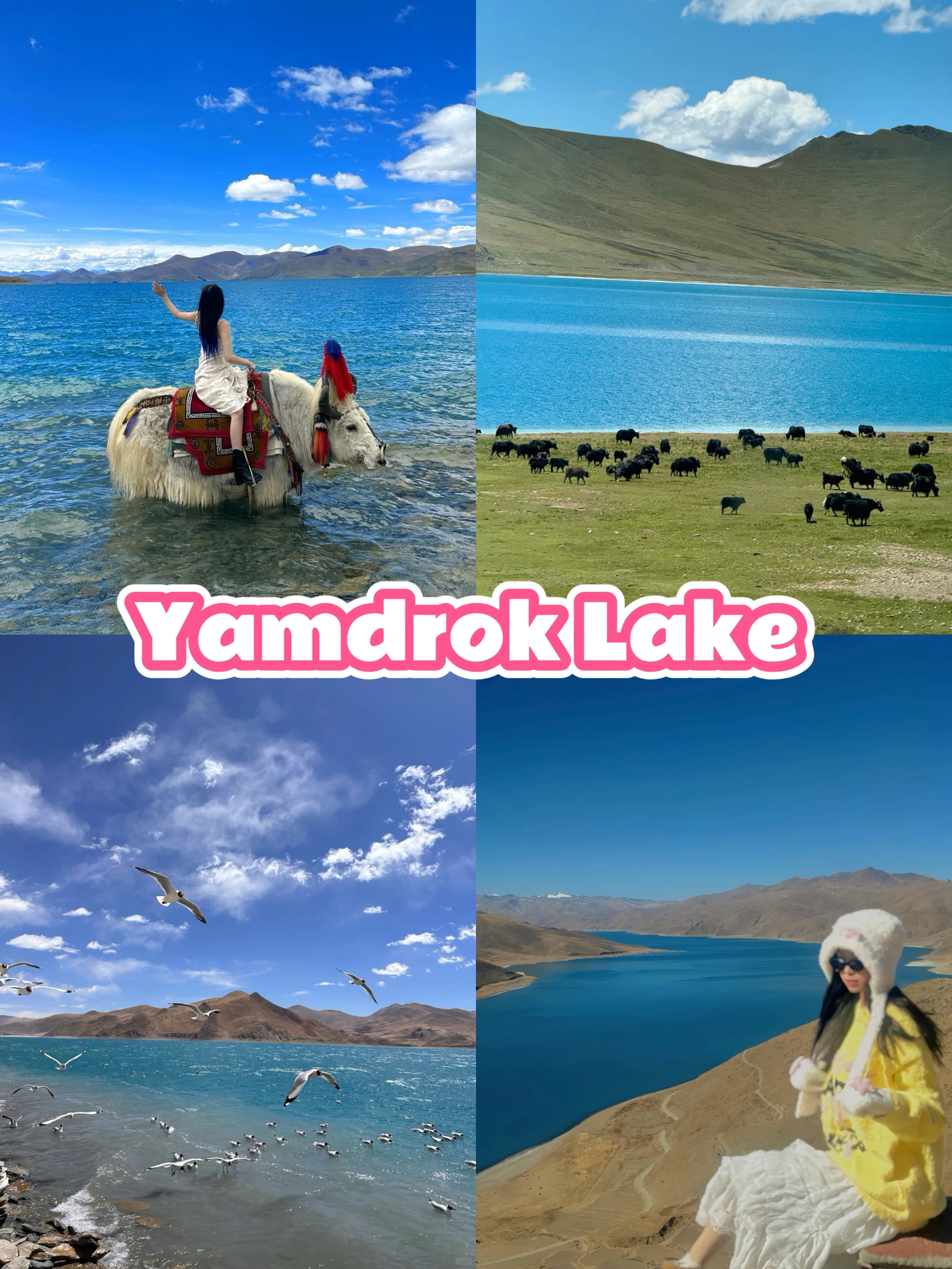 2025 Tibet Tour || 11-Day Peach Blossom Festival In-Depth Tour
