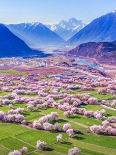 Direct Flight to Nyingchi: Bomi Peach Blossom Valley + Laigu Glacier+Lhasa+Yamdrok Lake + EBC + Qinghai-Tibet Railway 13-Day Tour