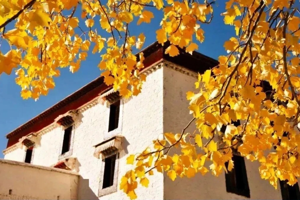 Autumn in Tibet for 10 Days: Nyingchi+Lhasa+Yamdrok Lake+Ranwu Lake+Bomi+Namtso Lake+Qinghai-Tibet Railway