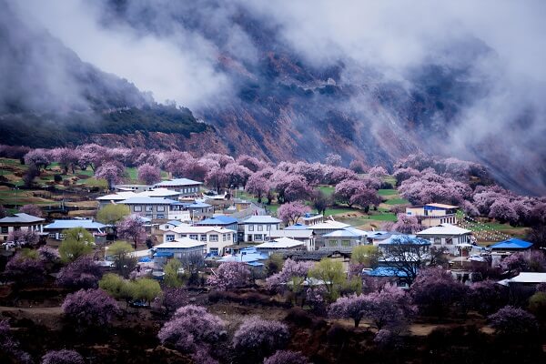 Essential Attractions for Peach Blossom Festival 2025
