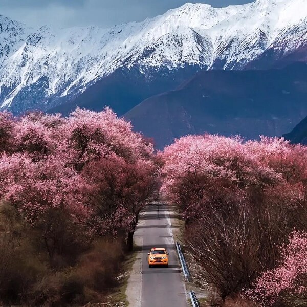 Understanding Time Differences in Tibet: A Guide for Tourists