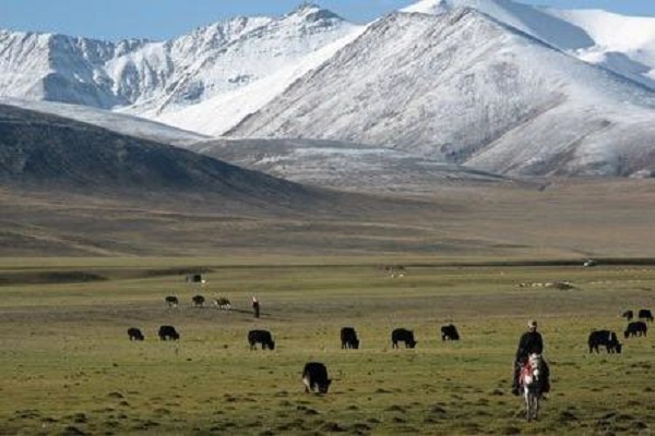 Thriving on the Roof of the World: Tibet's Climate and Agricultural Ingenuity