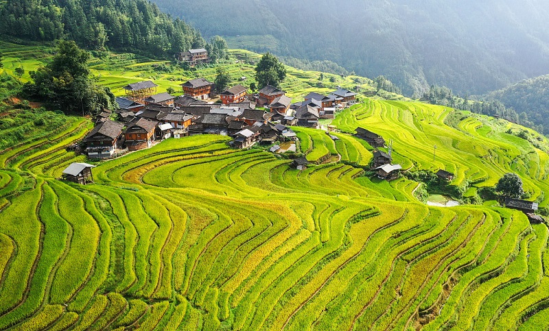 Jiabang Rice Terraces