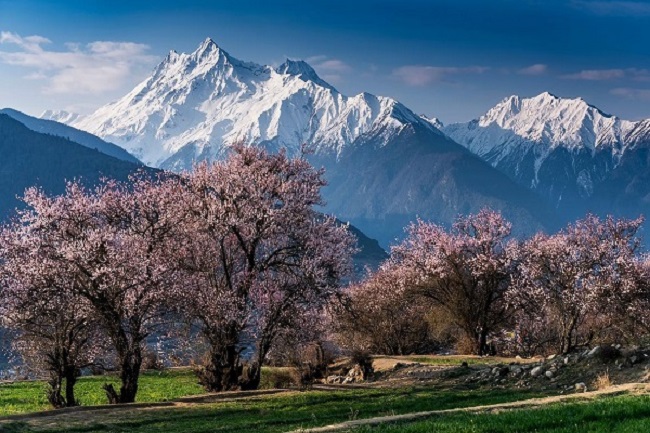 Exploring the Peach Blossom Valleys of Bomi and Nyingchi in Tibet