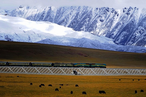How to Prevent or Resolve Altitude Sickness When Traveling to Tibet