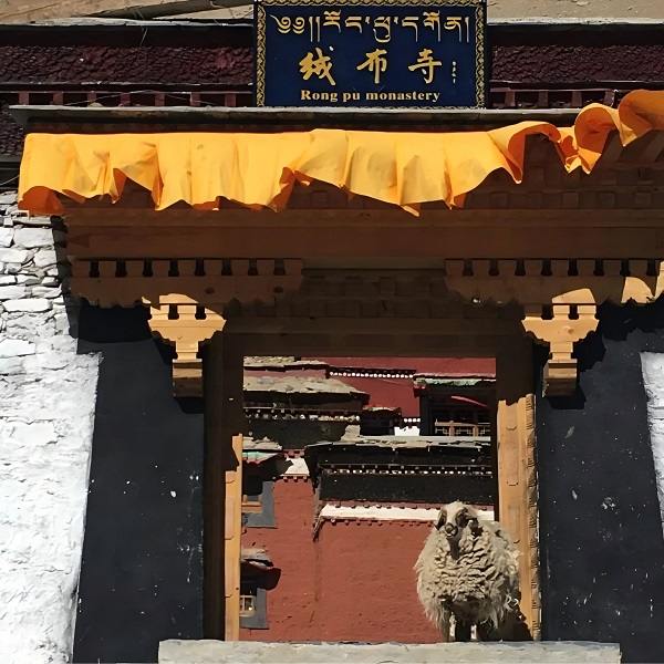 rongbuk