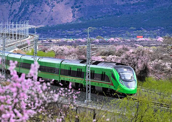 Best Qinghai-Tibet Railway Tour Group - Discover Tibet Train Adventure