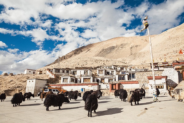 rongbuk