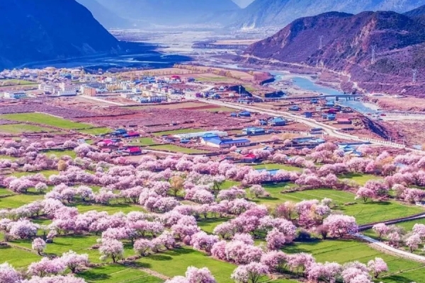13-Day Tour: Nyingchi+Bomi Valley+Lhasa + Yamdrok Lake+EBC+Qinghai-Tibet Railway