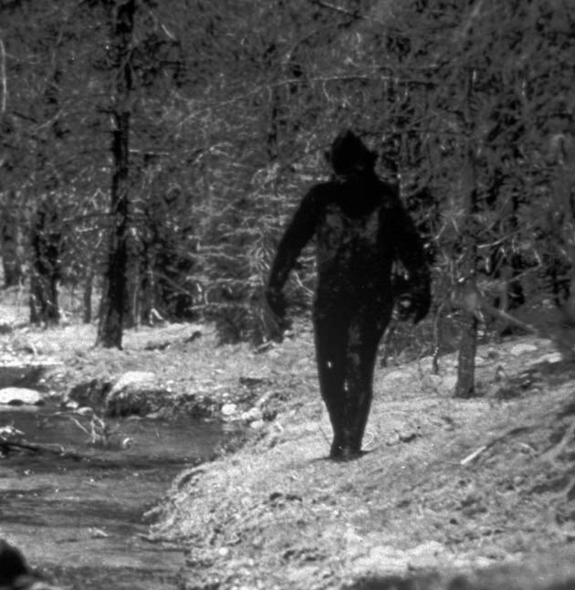 Is Yeti Real? 10 Facts About Yeti Animal