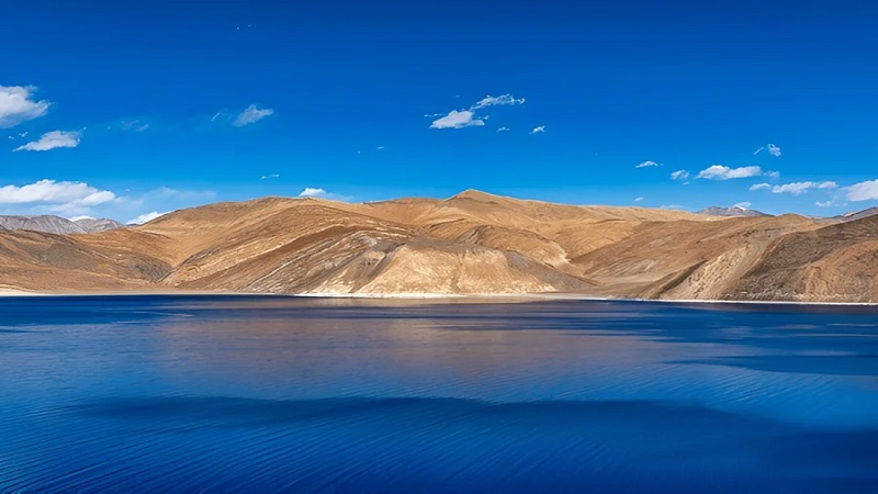 Pangong Tso Lakeside Contemplation