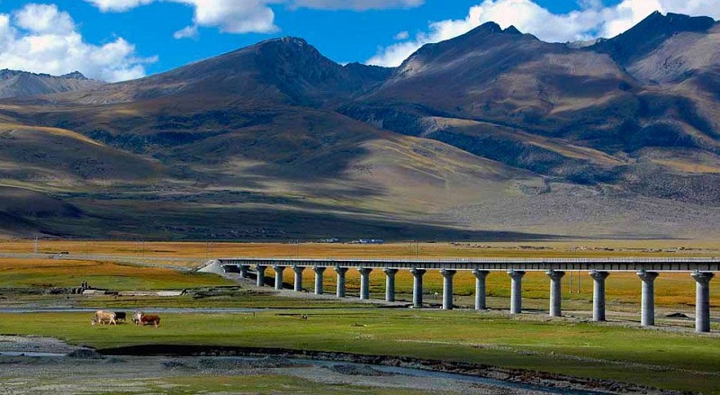 Tibet Travel: Epic Train vs. Flight Journey – Which One Suits You?