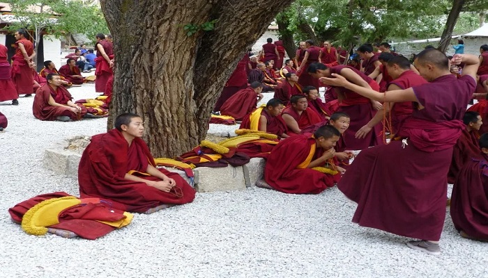 Tibetan Monk