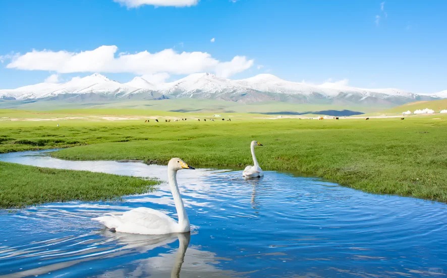 Which Xinjiang Attractions Require a Border Pass? A Practical Travel Guide