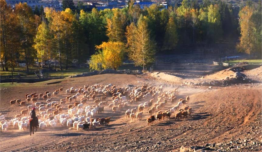 Which Xinjiang Attractions Require a Border Pass? A Practical Travel Guide