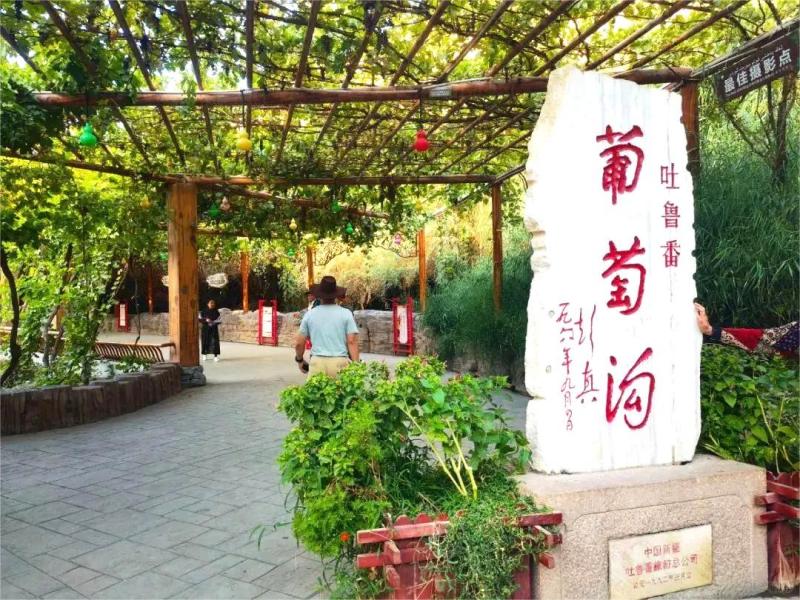 Best Places to Visit in Turpan :Jiaohe Ancient City,Grape Valleys & Desert Wonders