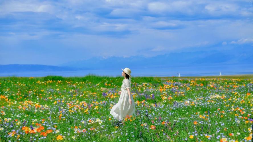 Is Yili Full of Flower Fields in June? What to Expect and Where to Go