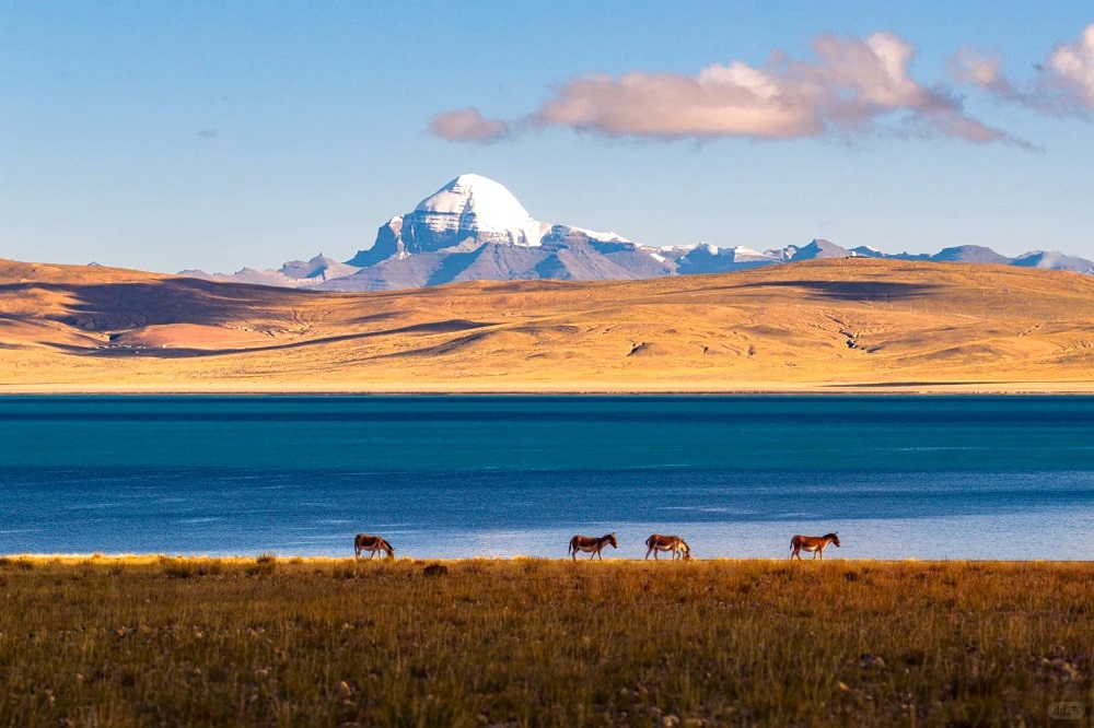 15-Day Mount Kailash Kora Tour: Lhasa, Everest Base Camp, Lake Manasarovar & Ngari