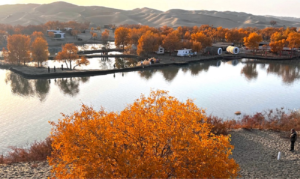 Korla Travel Guide: Why This Oasis City Is the Perfect Gateway to Southern Xinjiang