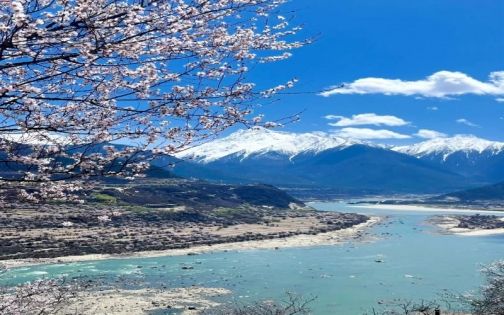 不用去富士山🗻我们中国林芝更美！_1_小谭_来自小红书网页版(1)