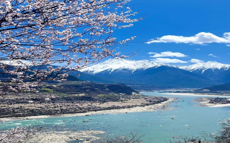 11-Day Classic Tibet Tour: Lhasa, Everest Base Camp & Nyingchi