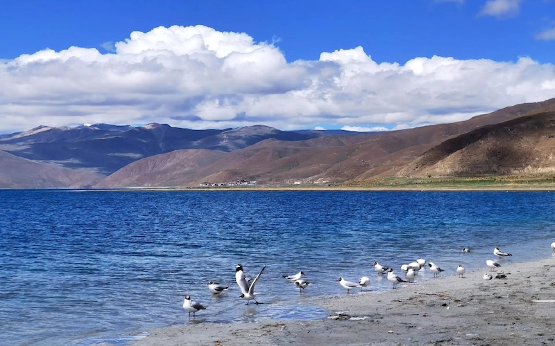 15-Day Mount Kailash Kora Tour: Lhasa, Everest Base Camp, Lake Manasarovar & Ngari