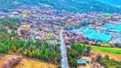 Yarlung Tsangpo Grand Canyon Travel Guide: North vs. South Bank, Is Suosong Village Worth Staying?