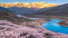 10-Day Tibet Spring Blossom Tour: Lhasa, Nyingchi, Bomi & Qinghai-Tibet Railway