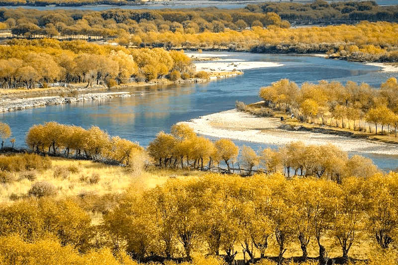 8-Day Tibet Winter Blue Ice & Glacier Tour: Lhasa, Nyingchi, Ranwu Lake & Laigu Glacier