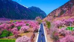 11-Day Nyingchi Peach Blossom Tour: Nyingchi, Lhasa, Yamdrok Lake and More