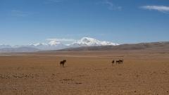 How to Travel to Ngari, Tibet — Classic Routes & Attractions