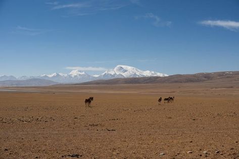 How to Travel to Ngari, Tibet — Classic Routes & Attractions