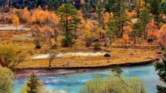 Basum Tso Autumn Travel Guide: The Best Season to Visit, Jieba Village, Xincuo Hiking & Complete Visitor Tips
