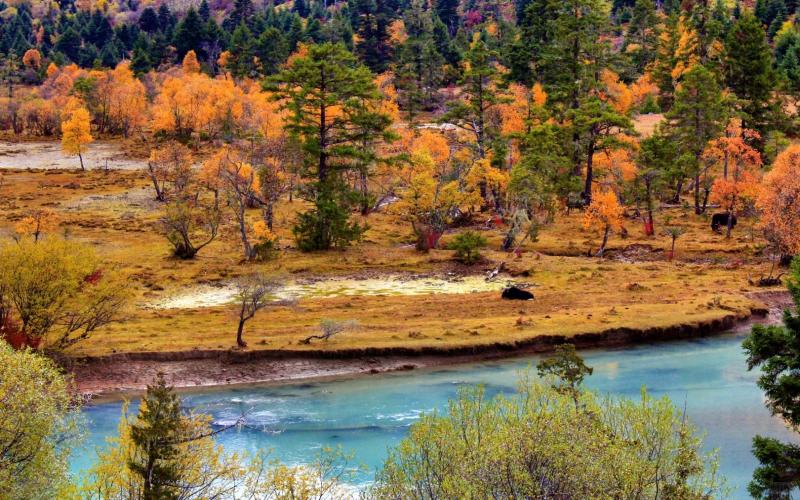 13-Day Tibet Flights & Qinghai-Tibet Railway: Lhasa, EBC., Nyingchi & Namtso