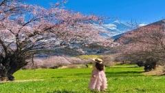 Tibet Travel Seasons: The Best Time to Visit Tibet Throughout the Year