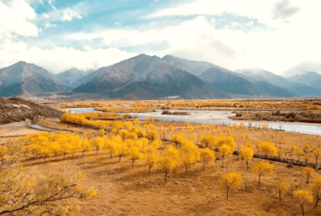 Tibet November Travel Guide: Autumn Foliage, Golden Forests & Hidden Wonders