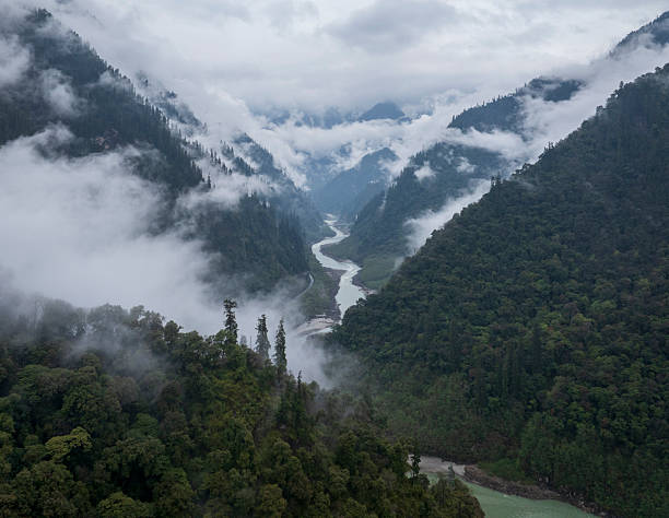 River Valley in primeval forest