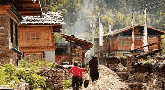 Tibet Village Homestay Experience: Authentic Local Life & Ultimate Highland Retreat