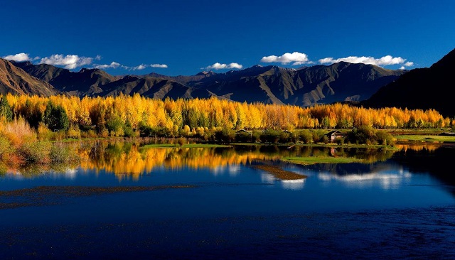 Autumn in Tibet