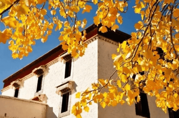 Potala Palace in Autumn